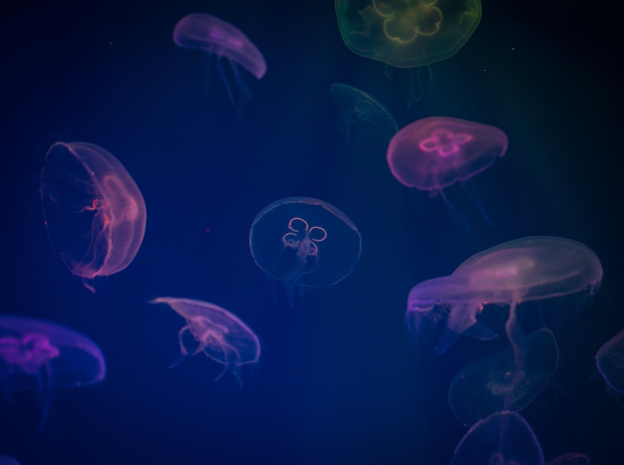 Docker安装Centos 开启ssh